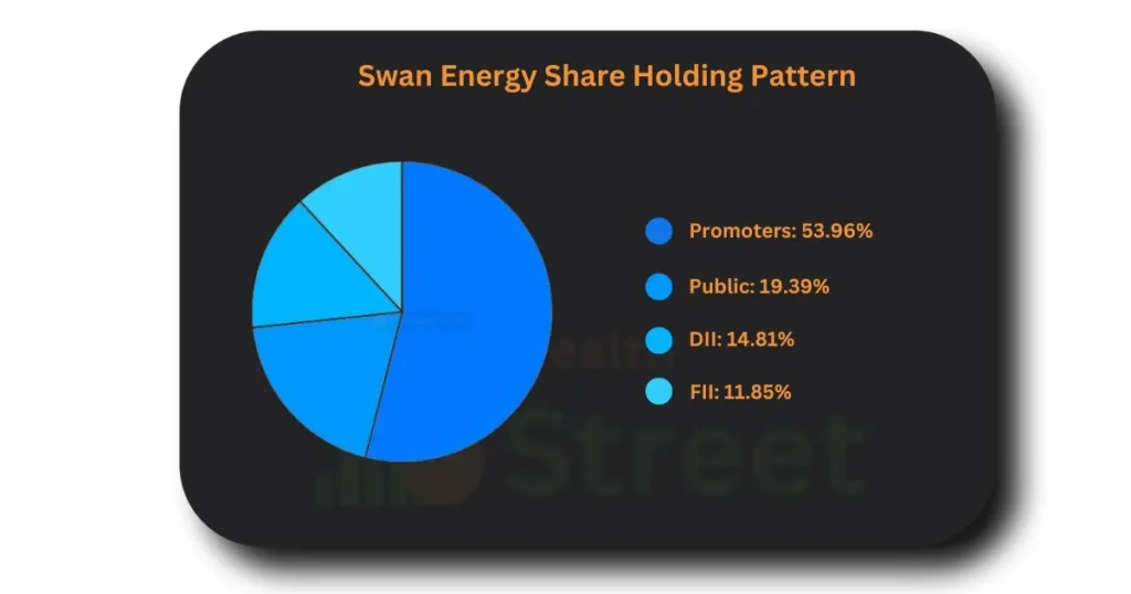 Swan Energy Share Holding Pattern 